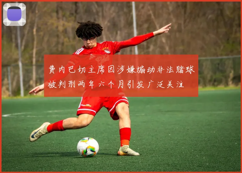 费内巴切主席因涉嫌煽动非法赌球被判刑两年六个月引发广泛关注