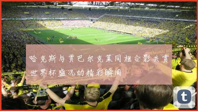哈克斯与贾巴尔克莱同框合影共赏世界杯盛况的精彩瞬间